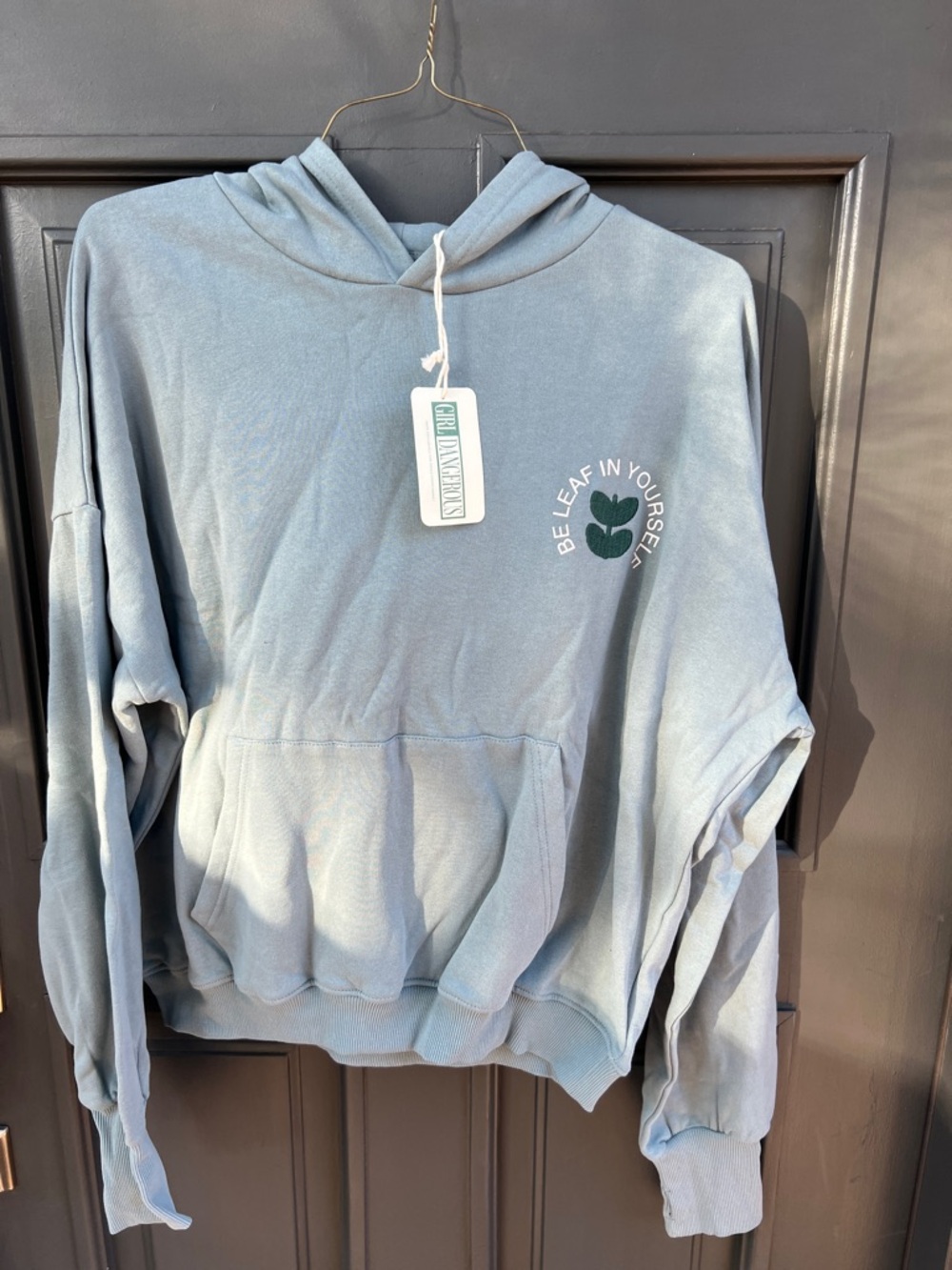 Be Leaf In Yourself Blue Pullover Hoodie